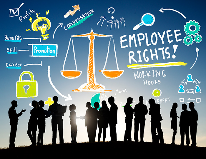 Labor & employment law infographic