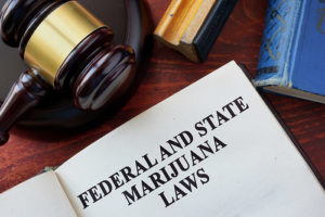 Marijuana licensing and regulation