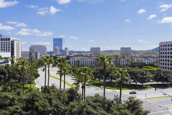 Irvine California skyline with palm trees in foreground